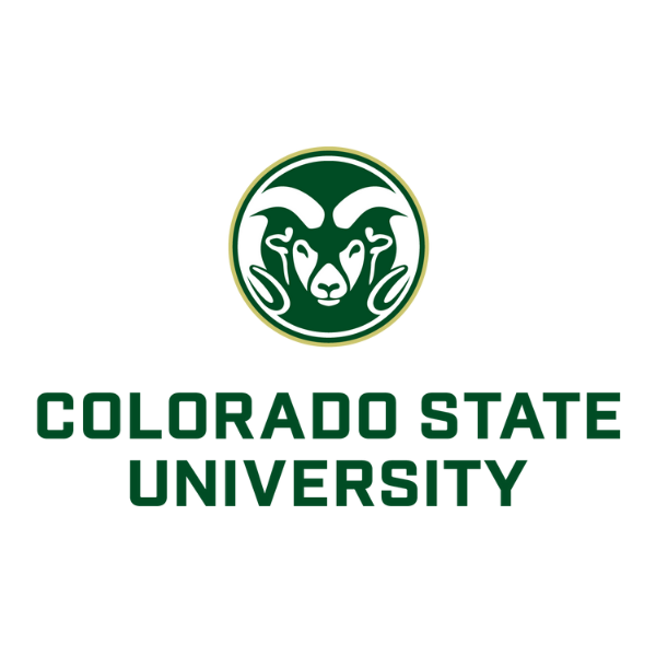 Burs İlanı Görseli